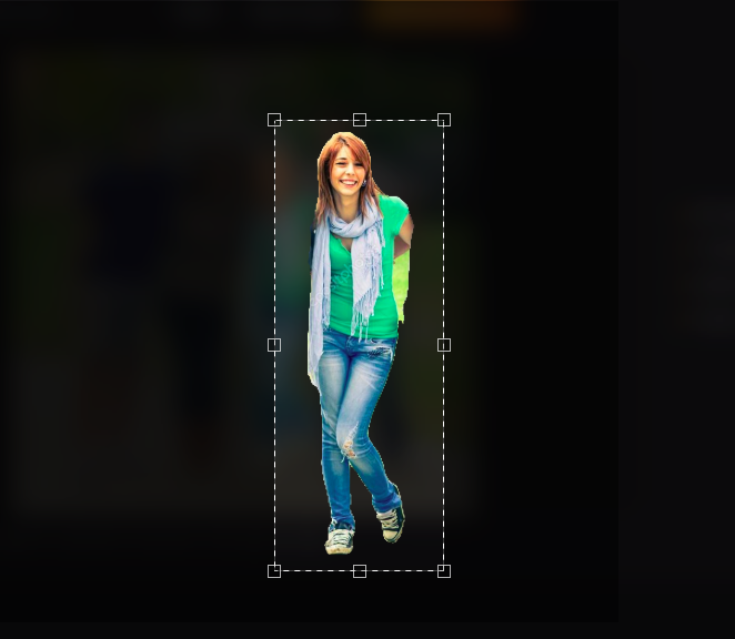 Image Segmenter preview showing subject selection